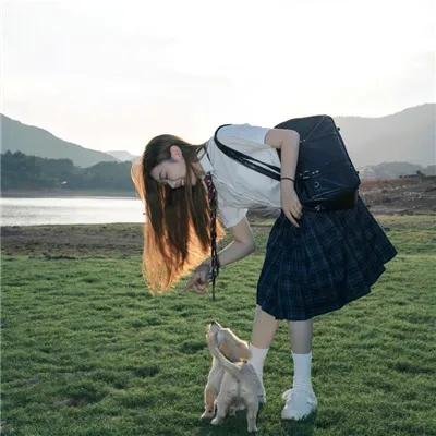 早安总统